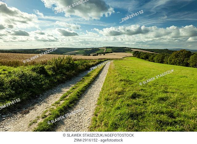 Summer afternoon in South Downs National Park, West Sussex