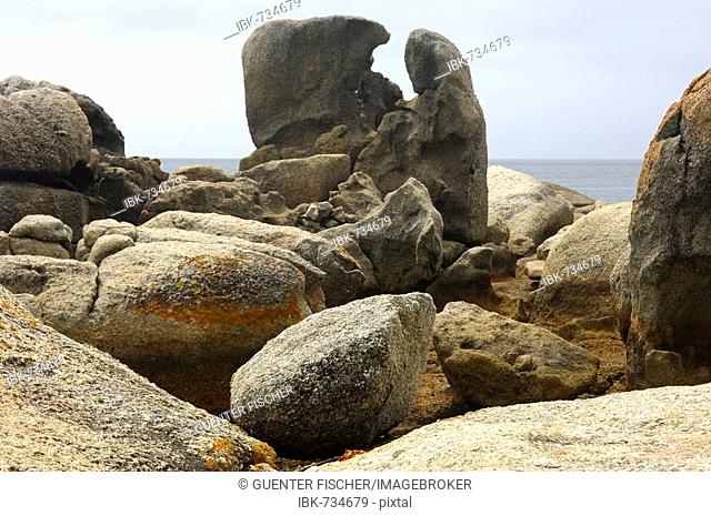 Granite boulders on Boulders Beach near Simon's Town, Western Cape Province, South Africa