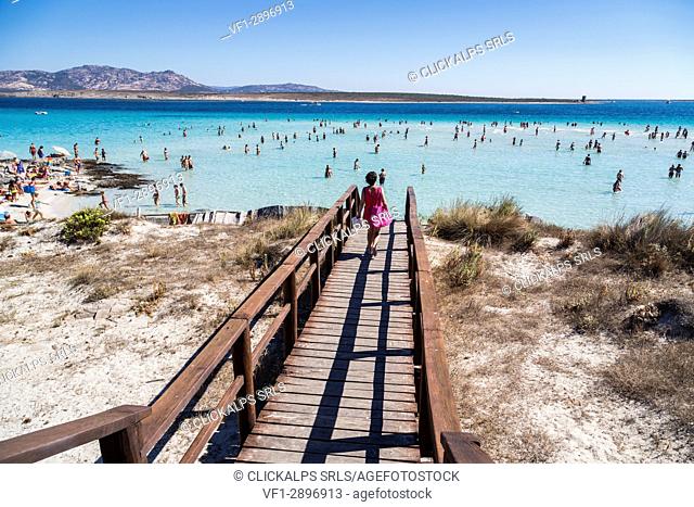 The wooden bridge leads to the turquoise sea Stintino Asinara National Park Province of Sassari Sardinia Italy Europe