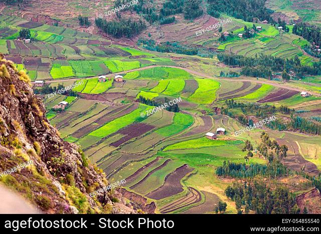 Green terraced fields in the mountain in Amhara province near city Weldiya with traditional african houses, Ethiopia agriculture concept. Africa