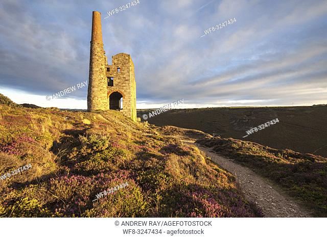 Tywarnhayle Engine House near Porthtowan in Cornwall, bathed in evening light in late August