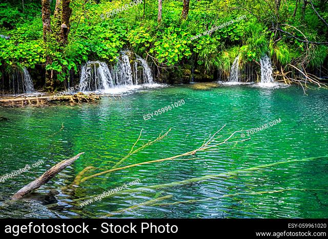 Submerged tree trunks and green mossy hill with waterfalls falling in to turquoise pond. Plitvice Lakes National Park UNESCO World Heritage, Croatia