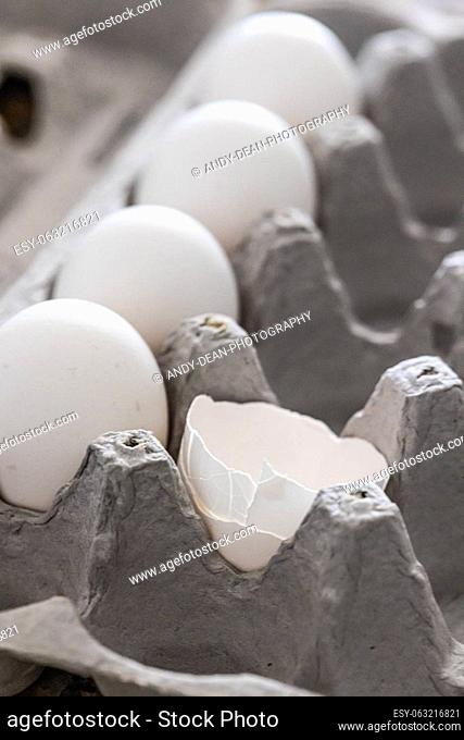 Carton of White Chicken Eggs and Egg Shells