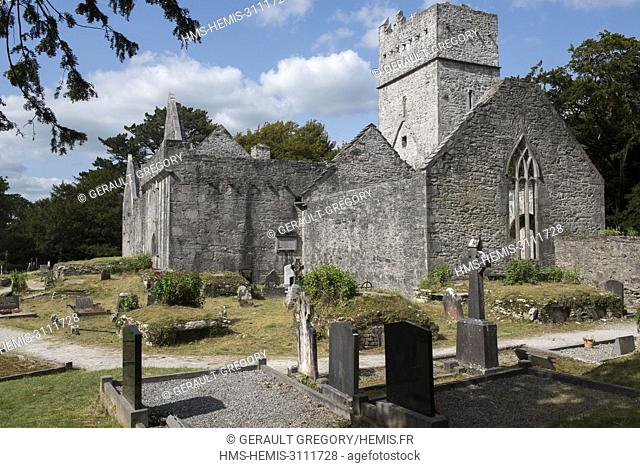 Ireland, County Kerry, Killarney National Park, Muckross Abbey dated 15th Century