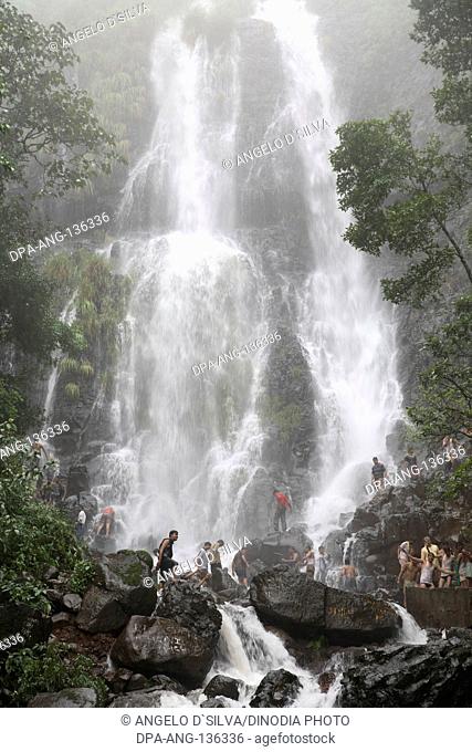 Tourist enjoying famous waterfall of Amboli ; Sindhudurga District ; Maharashtra ; India