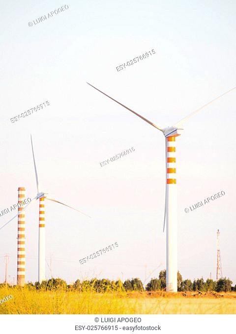 Wind Turbines in the country at sunset