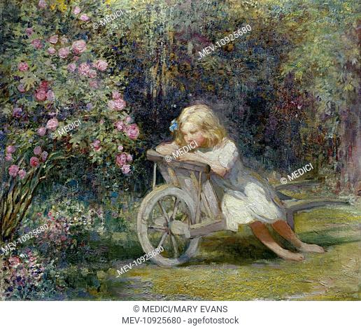 Child in Wheelbarrow – little girl on a wooden wheelbarrow in a garden with pink rose bush