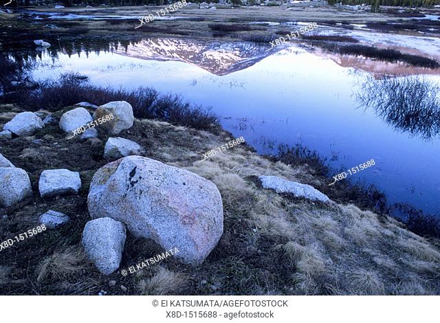 Reflection of Mount Dana in the Dana Fork of the Tuolumne River, Yosemite National Park, California, United States of America
