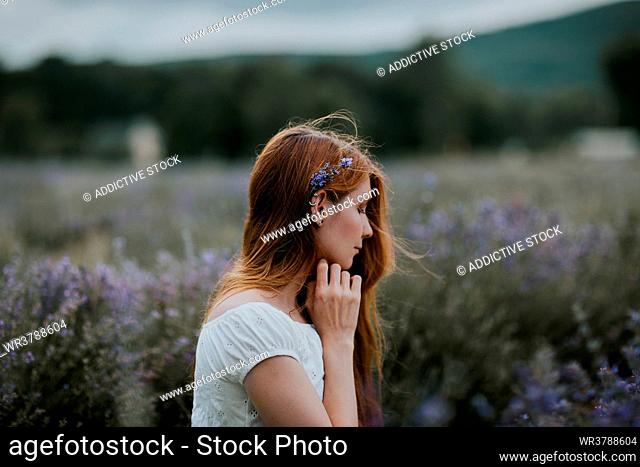 dreaming, romantic, lavender blossom, lavender field