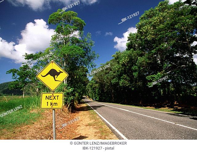 Typical australian highway with kangaroo crossing warning sign, Queensland, Australia