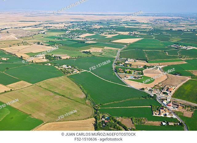 Agricultural landscape  Zaragoza, Aragon, Spain, Europe