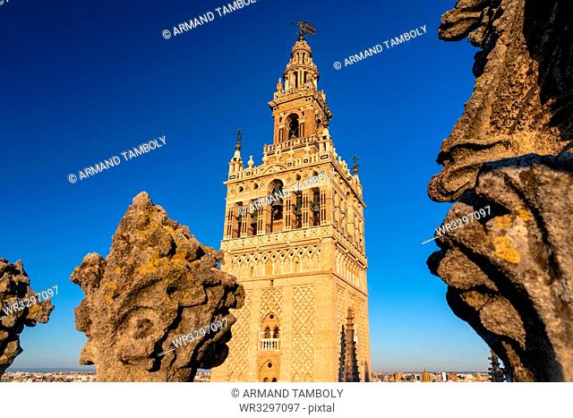 La Giralda, the bell tower of the Cathedral of Seville from the rooftop of the Cathedral, UNESCO World Heritage Site, Seville, Andalucia, Spain, Europe
