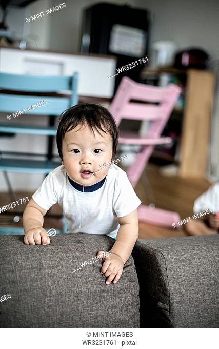 Portrait of Japanese toddler standing on a grey sofa, looking curiously at camera