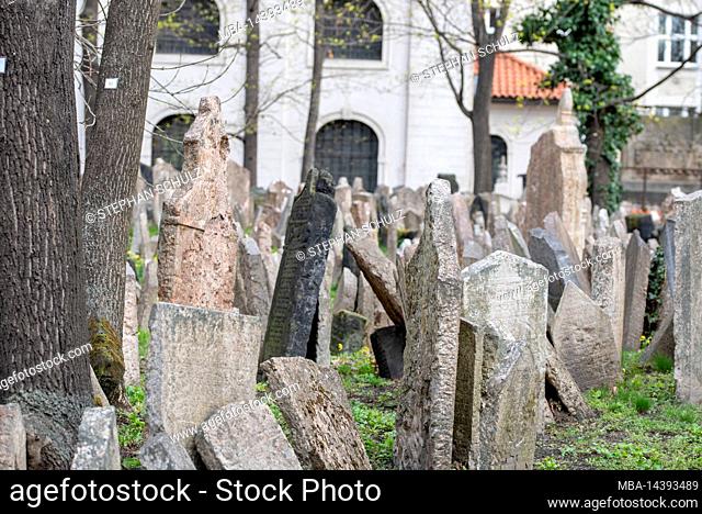 Gravestones, old Jewish cemetery, Jewish quarter, Jewish museum, Josefstadt, Prague, Czech Republic