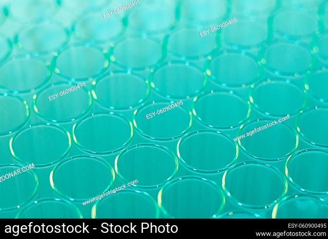 Close up of clean test glasses in chemistry or science laboratory