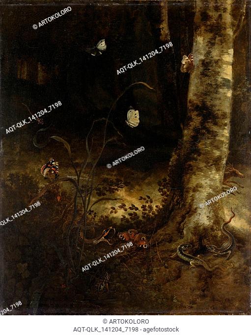 Forest Floor with a Snake, Lizards, Butterflies and other Insects, Otto Marseus van Schrieck, 1650 - 1678