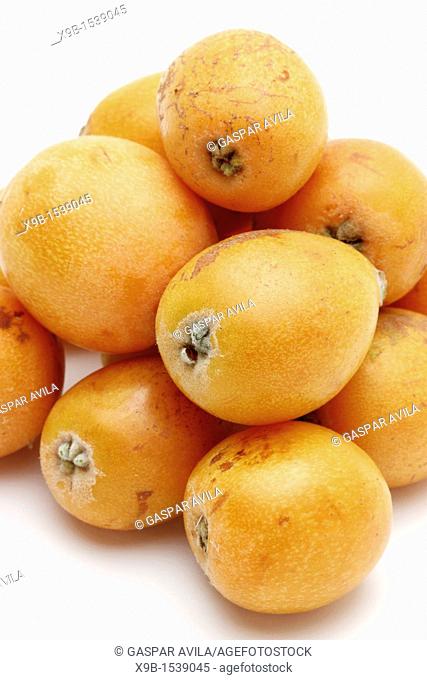Loquats on white background