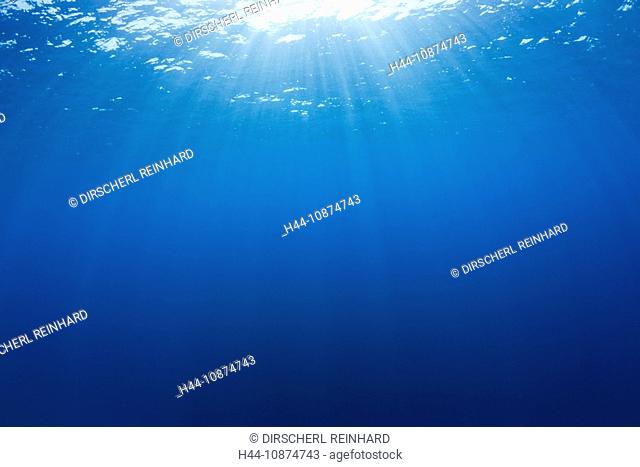 Sonnenstrahlen durchdringen Meeresoberfläche, Mikronesien, Palau, Sun Beams diffuse Ocean, sea, Micronesia, Palau