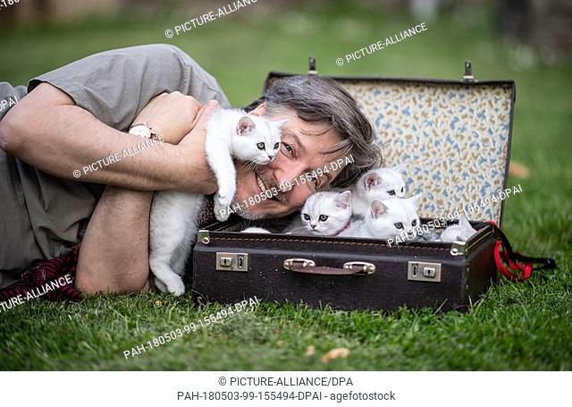 03 May 2018, Germany, Dortmund: Martin Armknecht, actor and ambassador for the VDH, Germany's kennel club, lying in a field with six British shorthair cats in a...