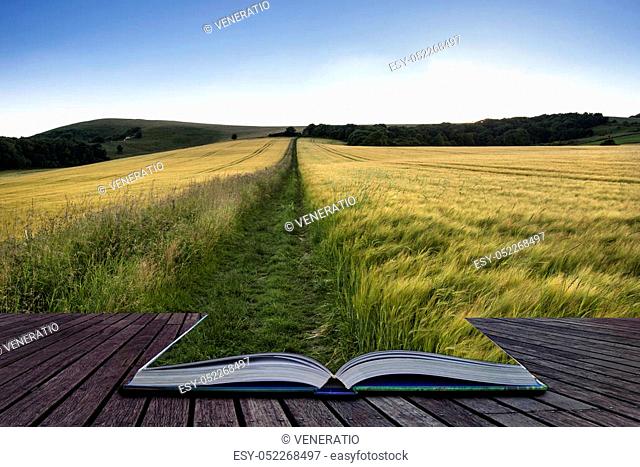 beautiful golden sunset across landscape field of barley in summer coming out of pages of book