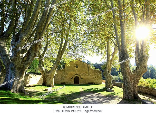 France, Vaucluse, Parc Naturel Regional du Luberon (Natural Regional Park of Luberon), Vaugines, Romanesque church of Saint Barthelemy of the 11th century