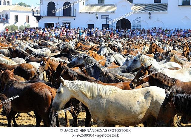 Saca de las yeguas festival.El Rocío.Almonte.Huelva province.Andalusia.Spain