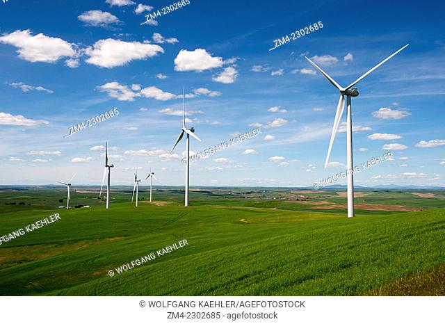 View of the Rosalia Wind Farm near Oaksdale in the Palouse, Washington State, USA