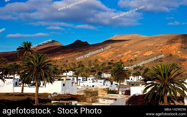 Canary Islands, Lanzarote, volcanic island, north of the island, oasis town, Haria, view of houses of Haria and behind them barren volcanic hills, palm trees