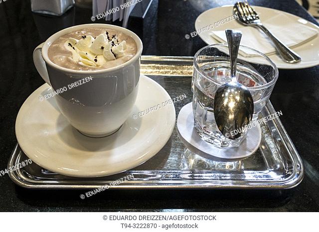 Cup of cappuccino, Museum of History of Art cafeteria, Vienna