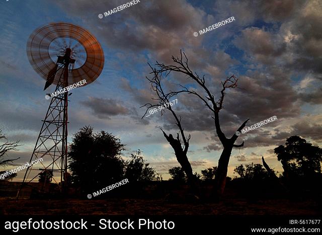 Wind pump in the desert at sunset, Kalahari Meerkat Project, Kuruman River Reserve, Kalahari Desert, Northern Cape, South Africa, Africa