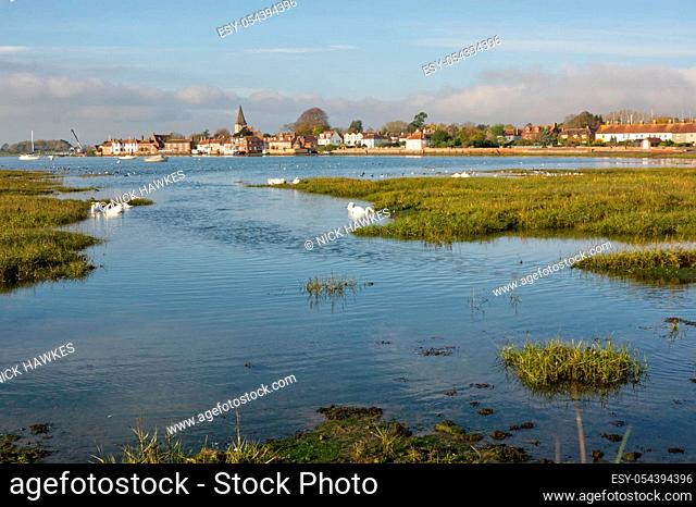 Village of Bosham in Chichester Harbour, West Sussex, England. At high tide with swans and gulls