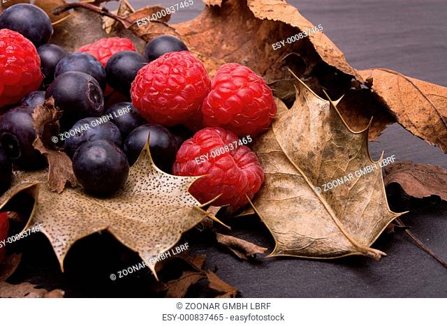 Forest fruits