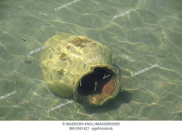 Clay pot lying on the seabed, harbor, Rethymno, Crete, Greece