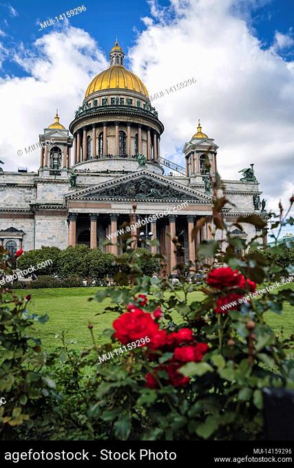 saint isaac's cathedral and bushes of red roses. saint petersburg, russia