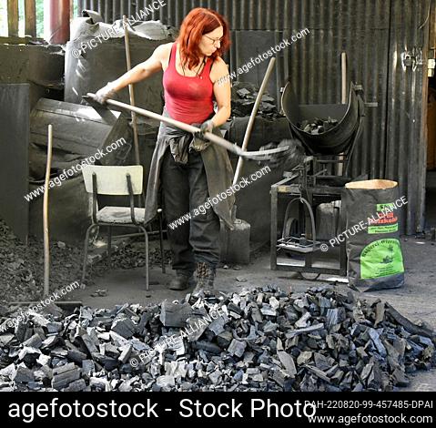 09 August 2022, Saxony, Eisenhammer: In her Eisenhammer charcoal kiln in the Düben Heath, charcoal burner Norma Austinat shovels finished charcoal for barbecue...