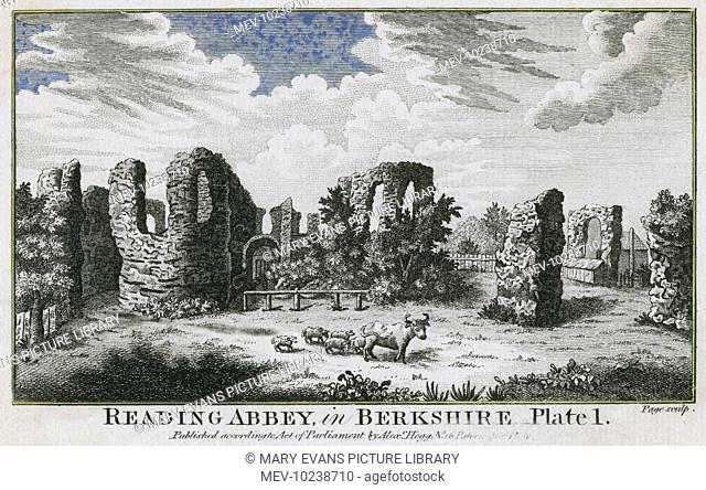 Sheep and cattle graze in the grounds of the ruined abbey at Reading, Berkshire (1 of 4)