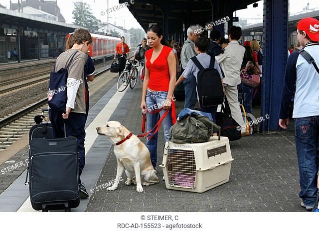 Woman with Labrador Retriever on leash baggage and kennel on platform railway station luggage