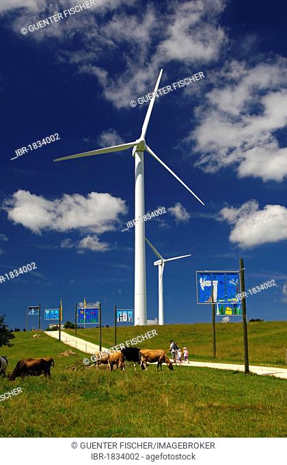 Wind turbines at Mont Crosin Wind Power Station, St. Imier, Jura, Switzerland, Europe
