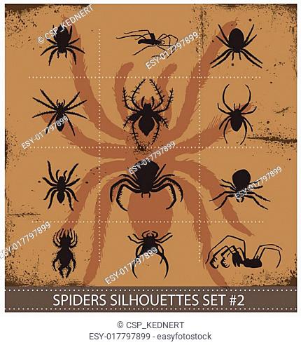 halloween spiders silhouettes symbols set