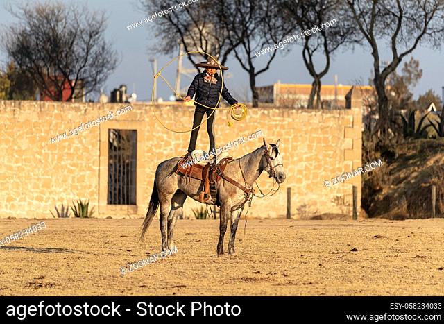 A young Mexican Charro rounds up a herd of horses running through a field on a Mexican Ranch at sunrise