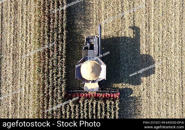 PRODUCTION - 18 October 2023, Schleswig-Holstein, Dissau: A combine harvested corn in a cornfield. Farmers in Schleswig-Holstein are expected to harvest a good...