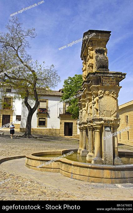 Fountain Fuente de Santa Maria, in front of the Seminario de San Felipe Neri, Santa Maria Square, Baeza, Jaen, Andalusia, Spain, Europe