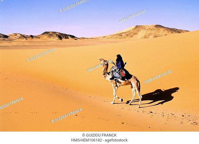 Niger, Sahara, Tenere desert, tuareg camel rider