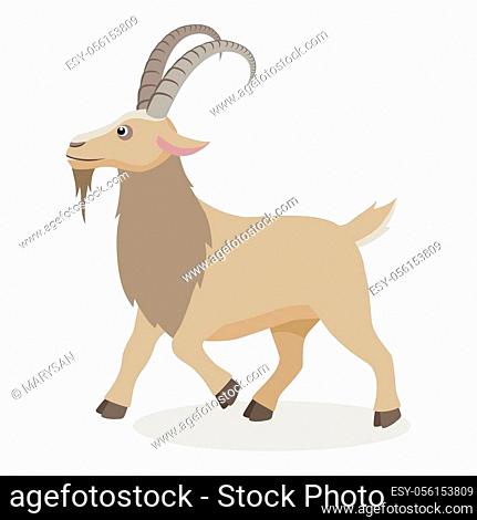 Cartoon mountain goat in different poses in flat style. Cute realistic goat  with long horns for..., Stock Vector, Vector And Low Budget Royalty Free  Image. Pic. ESY-056153809 | agefotostock