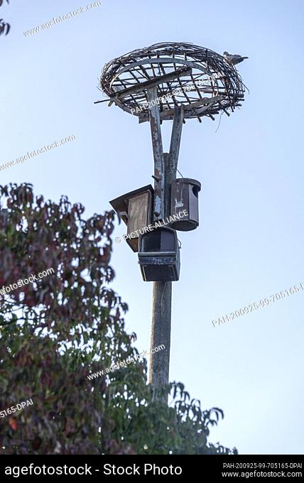 20 September 2020, Saxony-Anhalt, Loburg: A mast with bird boxes and an unfinished stork's nest are located at the Storchenhof Loburg