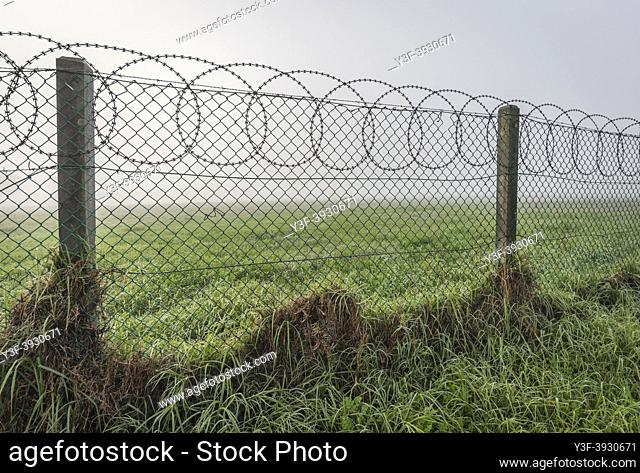Fence in the mist. Keep Out!
