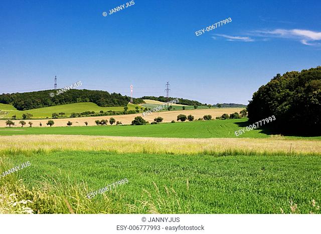 green field on background blue sky