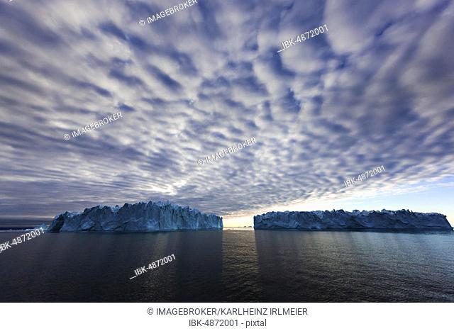 Icebergs at dawn, Scoresbysund, East Greenland, Greenland, North America