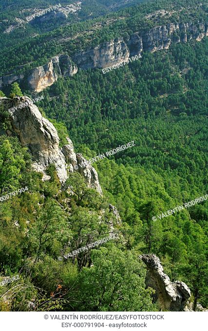 Hosquillo landscape from the viewpoint of the rock of the Clock. Natural Park of the Serrania de Cuenca
