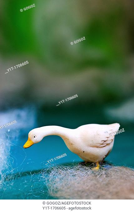 duck in space